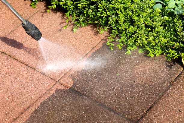 Best Roof Power Washing Services  in Brandon, FL